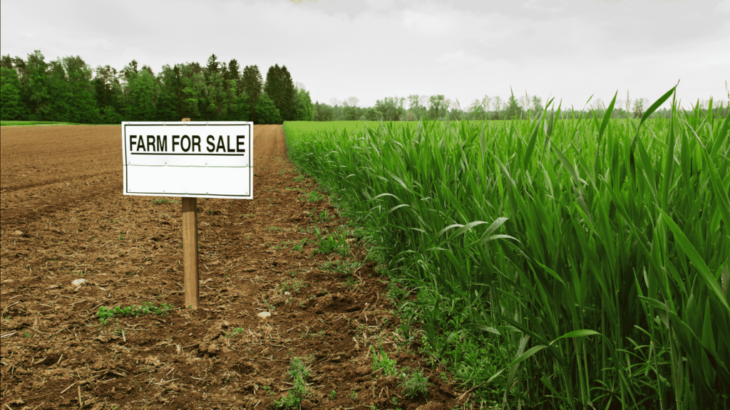 How to Prepare Your Farm Estate for Sale