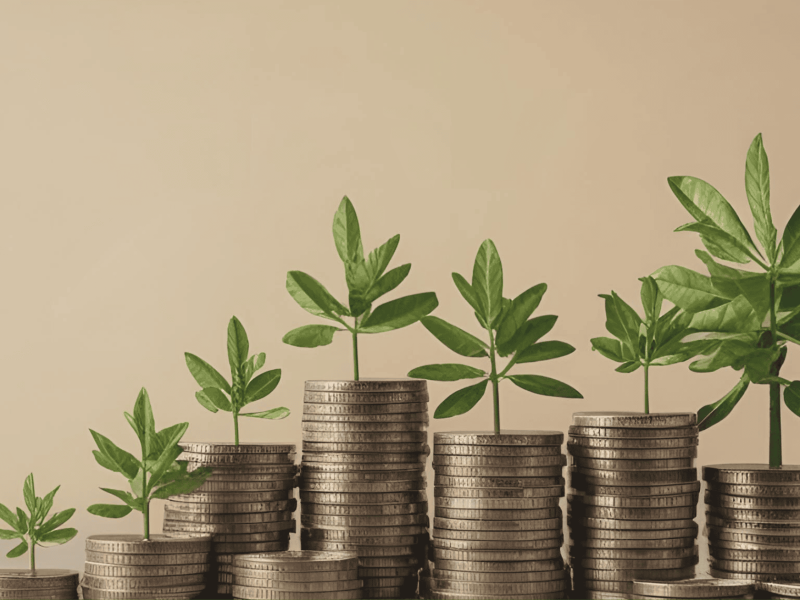 passive wealth
